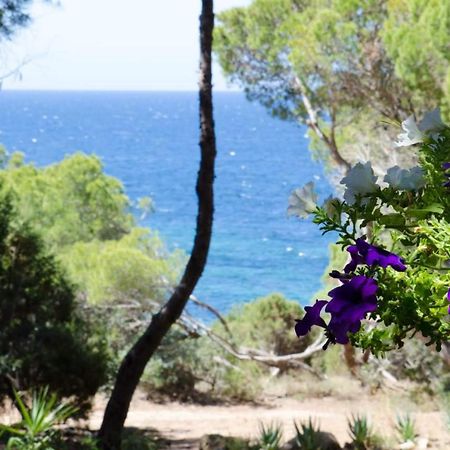 Villa Buonumore Porto Pino Eksteriør billede