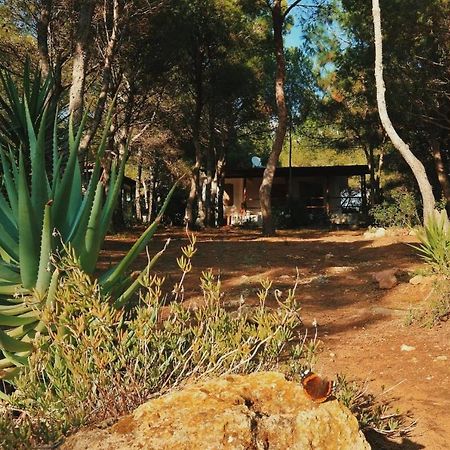 Villa Buonumore Porto Pino Eksteriør billede