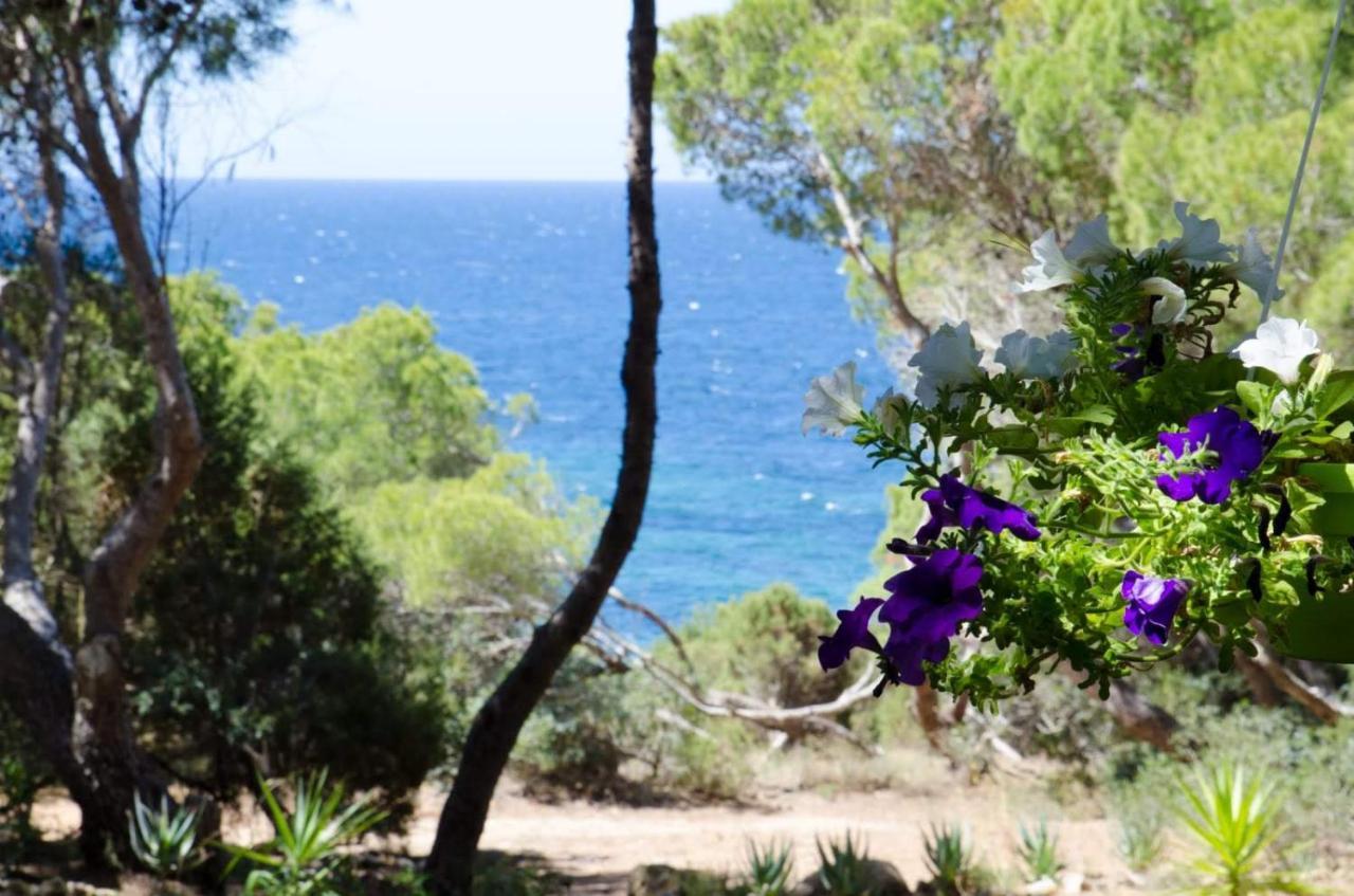 Villa Buonumore Porto Pino Eksteriør billede