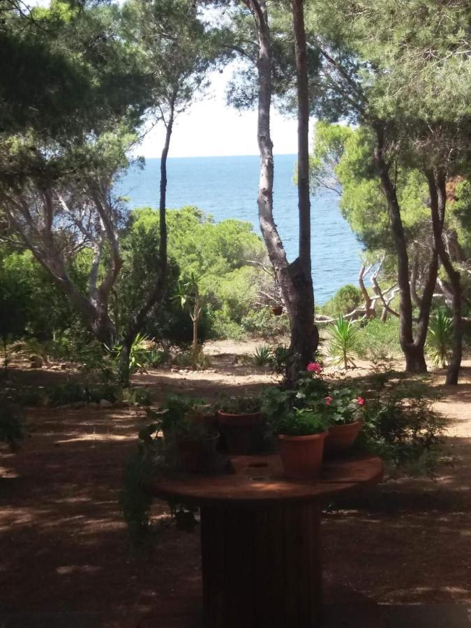 Villa Buonumore Porto Pino Eksteriør billede