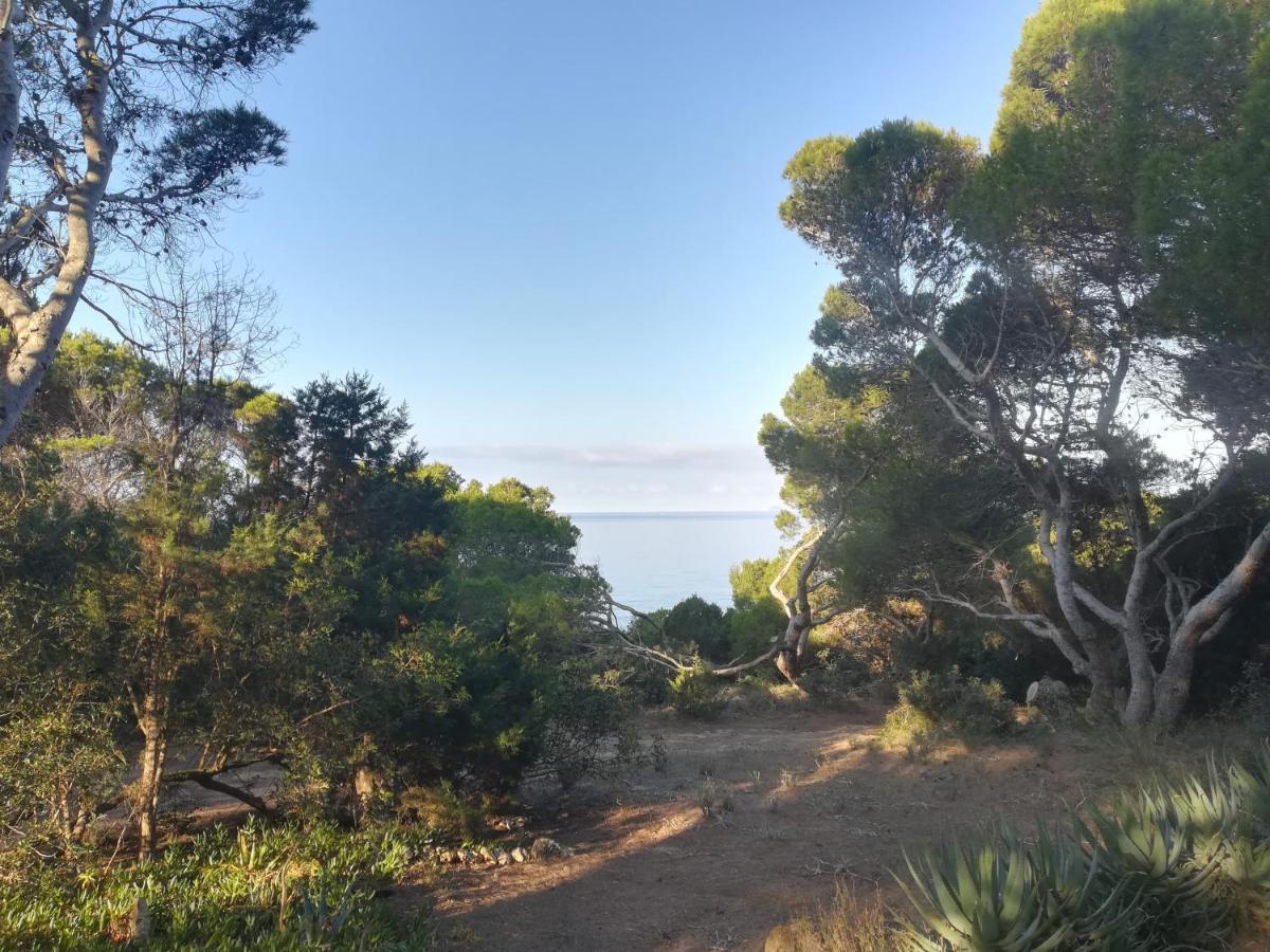Villa Buonumore Porto Pino Eksteriør billede