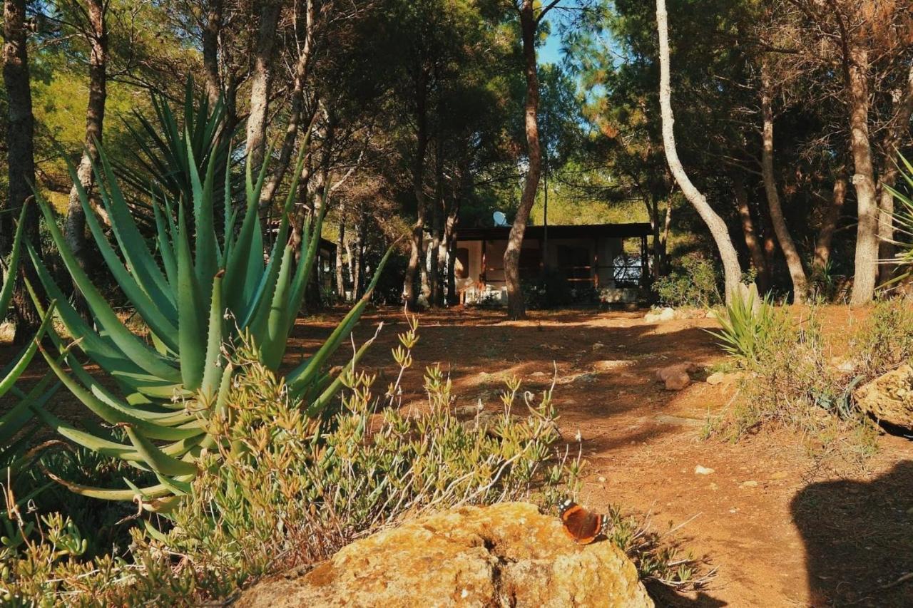 Villa Buonumore Porto Pino Eksteriør billede